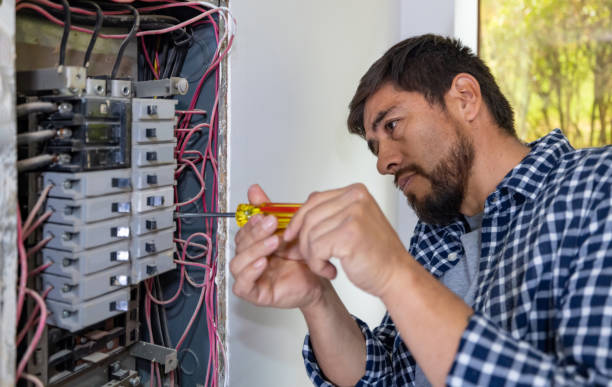 Best Generator Installation Services  in Jerseyvle, IL